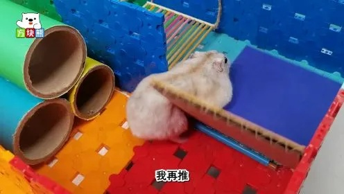 (方块熊乐园视频)方块熊乐园：小仓鼠逃脱迷宫大冒险