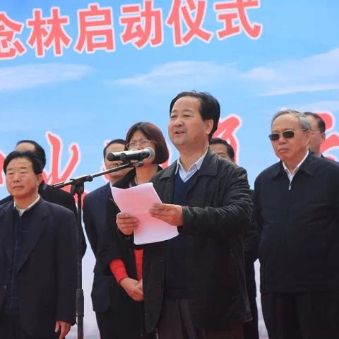 以深度解析和剖析为视角，揭秘网络热门游戏《织梦森林》为何骤然下架的内幕真相