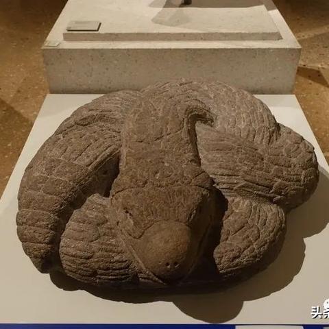 探索并解析名剧《一世之尊》的艺术价值与深度寓意：完整版高清资源现已上线百度云