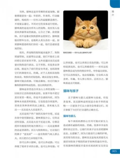 (我的宠物猫2)我的宠物书人气猫咪养成计：如何培养一只受欢迎的猫咪