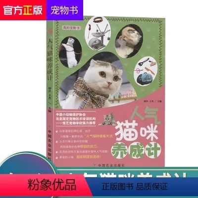 (我的宠物猫2)我的宠物书人气猫咪养成计：如何培养一只受欢迎的猫咪