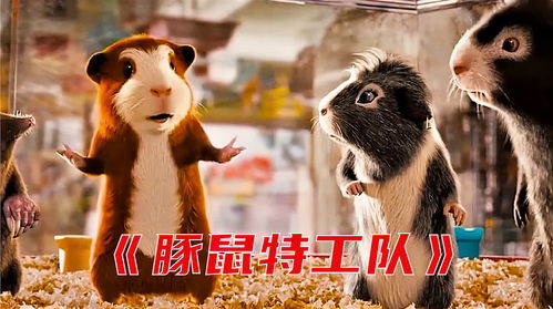 全网独播：豚鼠特工队国语版在线观看，无需等待的高清视觉盛宴