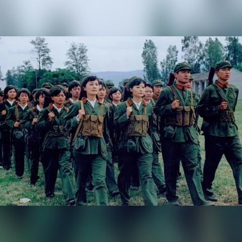 (航海王燃烧意志,官方)航海王燃烧意志官服，挑战海洋的极限，追逐自由的梦想