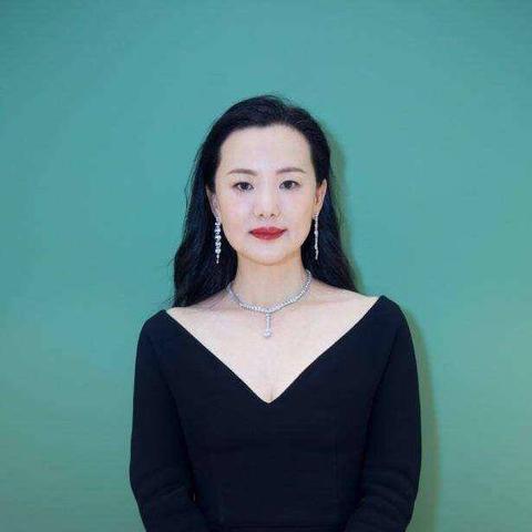 流星蝴蝶剑攻略大全：详细解读游戏要素，玩法技巧全面分析，助你游刃有余！