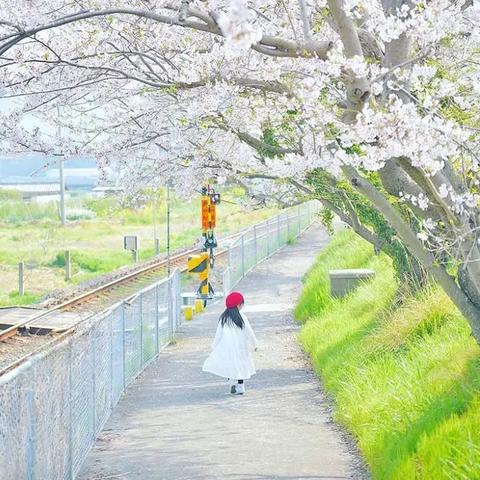 透视《LoveLive学囐偶像祭》手游：如何通过高度策略性的游戏设计，引领日系偶像热潮